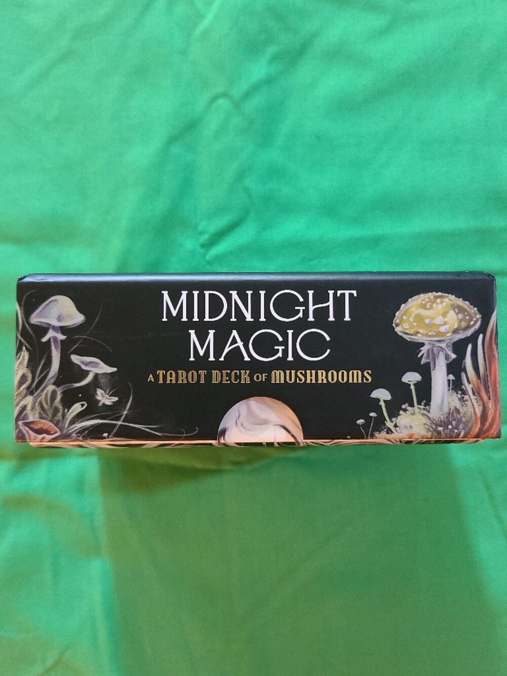 Tarot Cards Midnight Magic A deck of Mushrooms - Picture 3 of 5